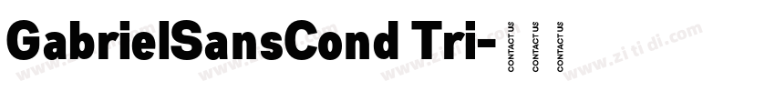 GabrielSansCond Tri字体转换
